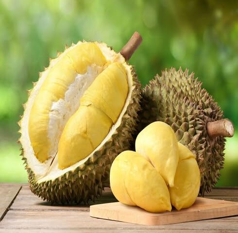 Green Durian Seeds – Heirloom, Non-GMO, High Germination Organic Garden Seeds
