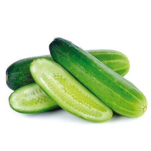 Cucumber Green Seeds – Heirloom, Non-GMO, High Germination Organic Garden Seeds Planting