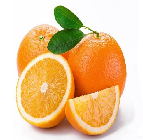 Orange Seeds – Heirloom, Non-GMO, High Germination Organic Garden Seeds