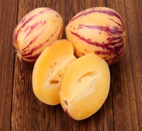 Orange Ginseng Seeds – Heirloom, Non-GMO, High Germination Organic Garden Seeds
