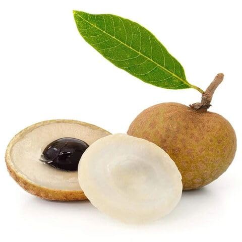 Longan Seeds – Heirloom, Non-GMO, High Germination Organic Garden Seeds