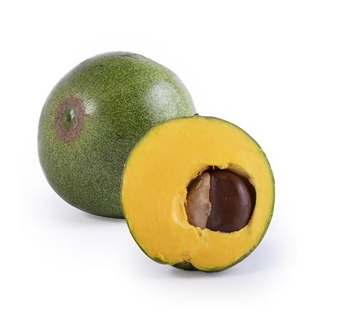 Green Lucuma Seeds – Heirloom, Non-GMO, High Germination Organic Garden Seeds