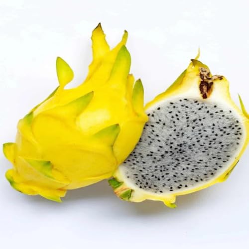 Pitaya Seeds Yellow – Heirloom, Non-GMO, High Germination Organic Garden Seeds