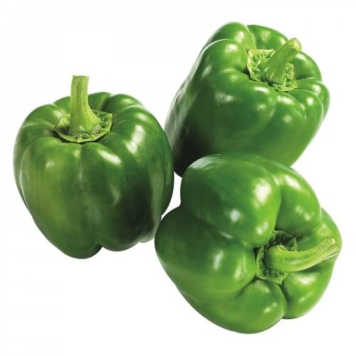Pepper Green Seeds – Heirloom, Non-GMO, High Germination Organic Garden Seeds Planting