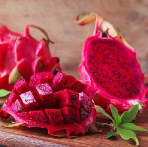 Pitaya Fruit Seeds – Heirloom, Non-GMO, High Germination Organic Garden Seeds
