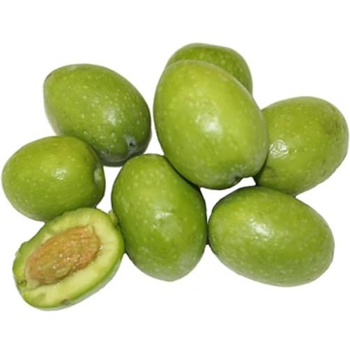 Green Olive Seeds Heirloom Non-GMO High Germination Organic Garden Seeds for Planting