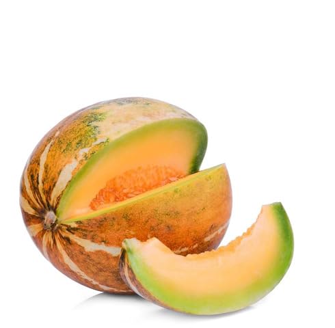 Orange Musk Melon Seeds – Heirloom, Non-GMO, High Germination Organic Garden Seeds