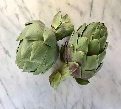 Artichoke Seeds – Heirloom, Non-GMO, High Germination Organic Garden Seeds Planting