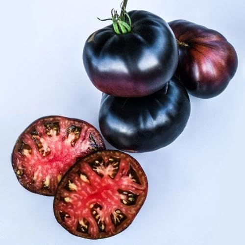 Black Tomato Seeds – Heirloom, Non-GMO, High Germination Organic Garden Seeds Planting