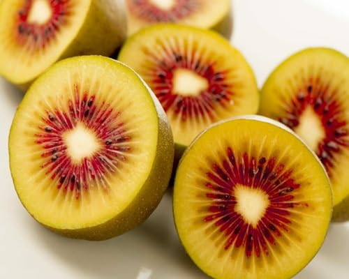 Kiwi Seeds – Heirloom, Non-GMO, High Germination Organic Garden Seeds