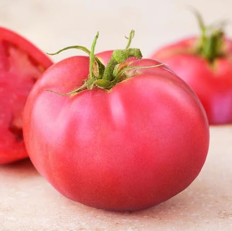 Pink Tomato Seeds – Heirloom, Non-GMO, High Germination Organic Garden Seeds Planting