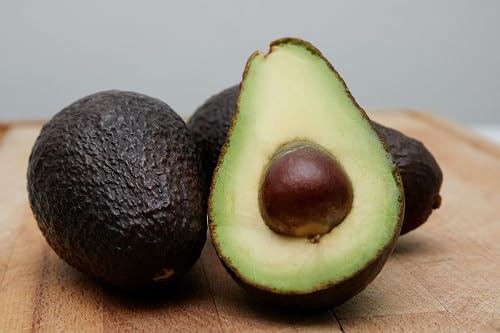 Avocado Seeds – Heirloom, Non-GMO, High Germination Organic Garden Seeds
