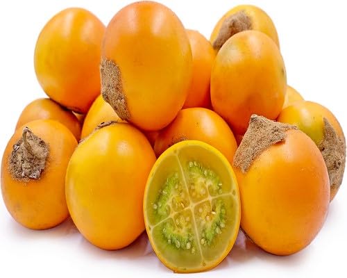 Lulo-Samen Orange zum Pflanzen – Alte Sorte Gentechnikfrei Hohe Keimrate Bio-Gartensamen