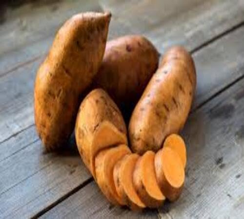 Sweet Potato Brown Seeds – Heirloom, Non-GMO, High Germination Organic Garden Seeds Planting