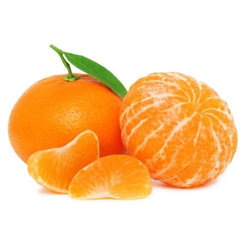 Clementine Seeds – Heirloom, Non-GMO, High Germination Organic Garden Seeds