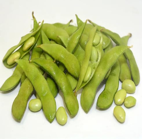 Green Soybean Seeds – Heirloom, Non-GMO, High Germination Organic Garden Seeds Planting
