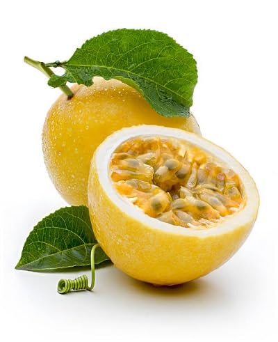Yellow Passion Seeds Heirloom Non-GMO High Germination Organic Garden Seeds for Planting