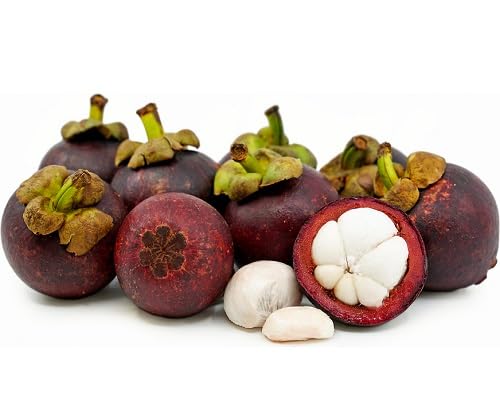 Purple Mangosteen Seeds – Heirloom, Non-GMO, High Germination Organic Garden Seeds