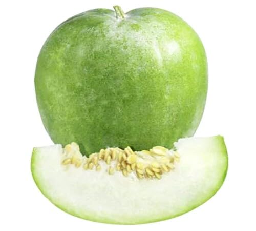 Calabaza china – Semillas para plantar de jardín orgánico, reliquia, sin OMG, de alta germinación