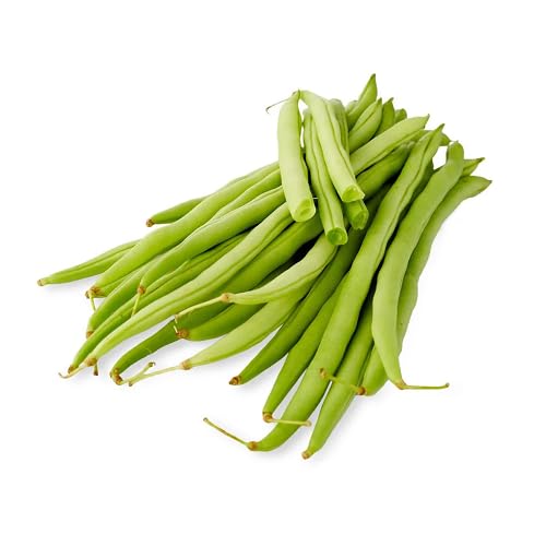 Green Bean Seeds – Heirloom, Non-GMO, High Germination Organic Garden Seeds Planting