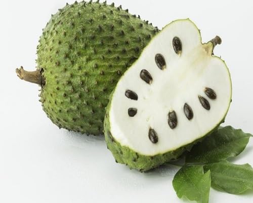 Marang Seeds – Heirloom, Non-GMO, High Germination Organic Garden Seeds