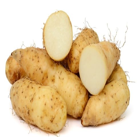 Brown Yam Seeds – Heirloom, Non-GMO, High Germination Organic Garden Seeds Planting