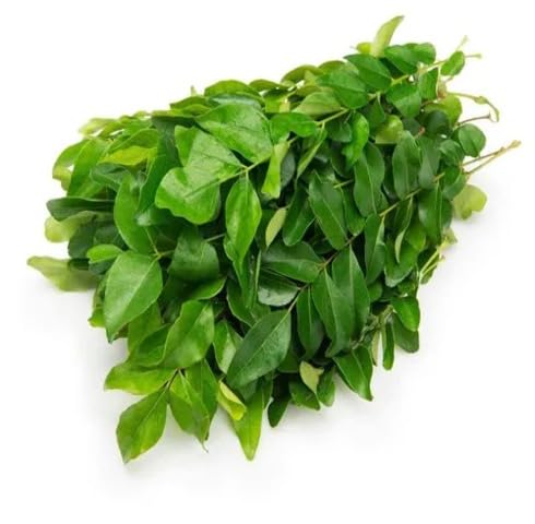 Green Curry Leaf – Heirloom, Non-GMO, High Germination Organic Garden Seeds Planting