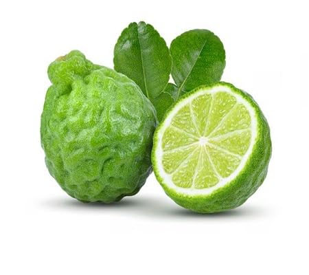 Semillas de kafir – Variedad tradicional, sin OGM, semillas orgánicas de alta germinación para jardín