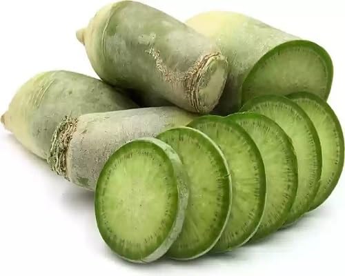 Green Radish Seeds – Heirloom, Non-GMO, High Germination Organic Garden Seeds Planting