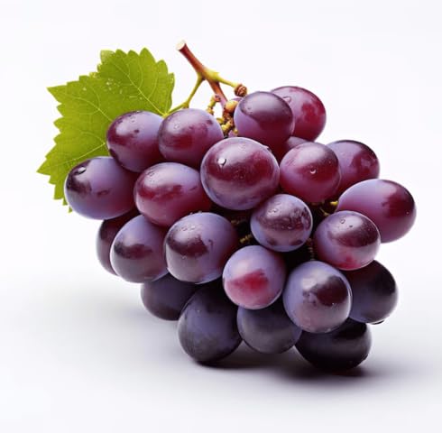 Purple Grapes Seeds – Heirloom, Non-GMO, High Germination Organic Garden Seeds