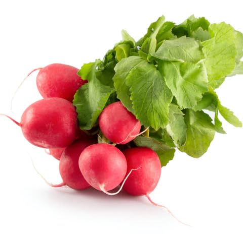 Red Turnip Seeds – Heirloom, Non-GMO, High Germination Organic Garden Seeds Planting