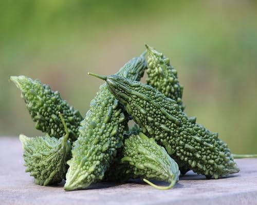 Green Bitter Gourd Seeds – Heirloom, Non-GMO, High Germination Organic Garden Seeds Planting