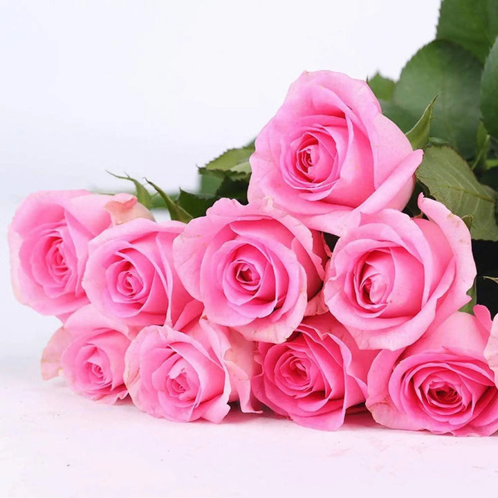 Pink Rose Flower Seeds for Planting – Heirloom Non-GMO High Germination Organic Garden Seeds