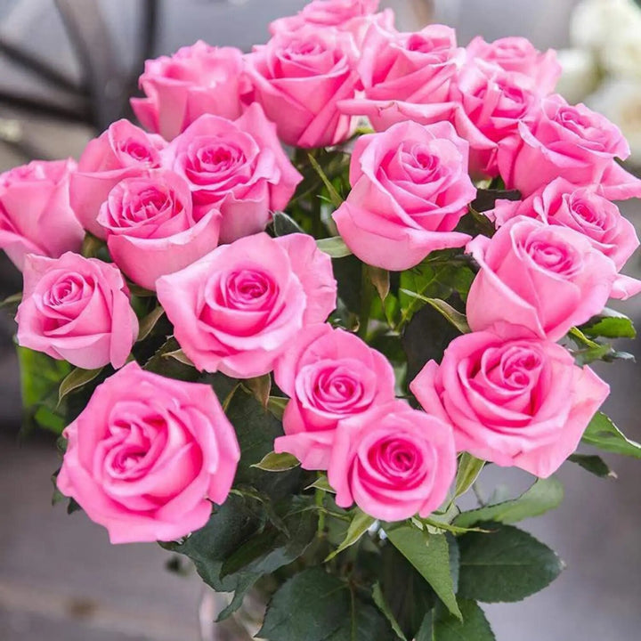 Pink Rose Flower Seeds for Planting – Heirloom Non-GMO High Germination Organic Garden Seeds