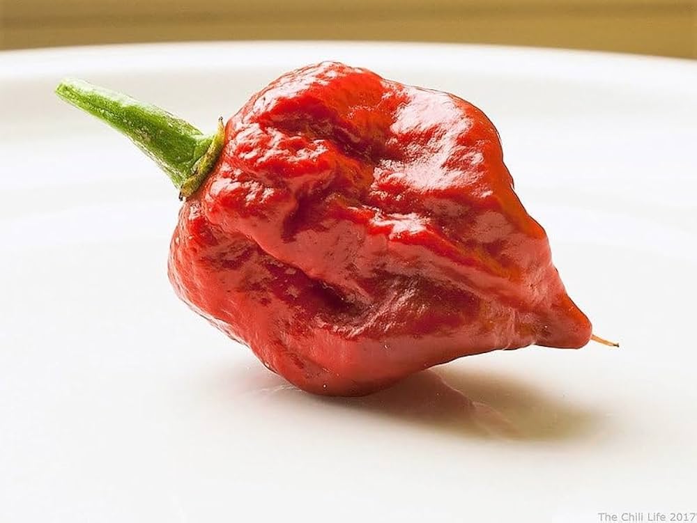 reapion reaper flower seeds