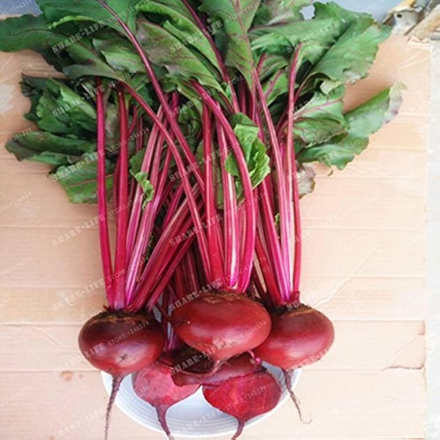 beetroot rare flower seeds