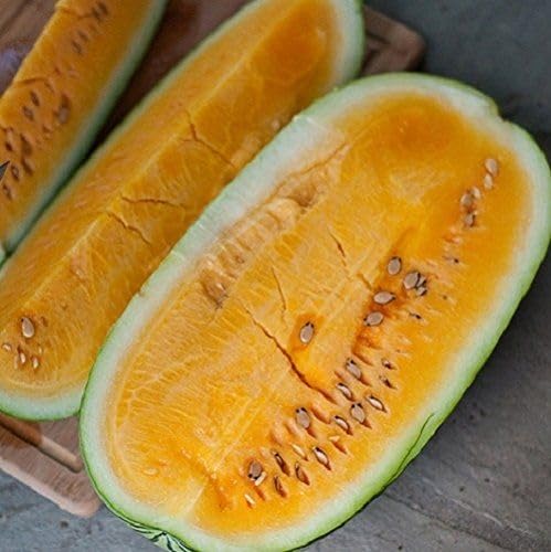 Yellow Watermelon Seeds for Planting | Heirloom Non-GMO Organic Garden Seeds