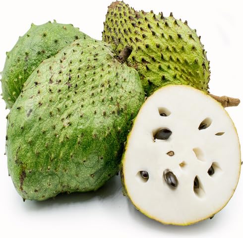 Green Guanabana Seeds – Heirloom, Non-GMO, High Germination Organic Garden Seeds