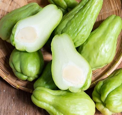 Green Chayote Vegetables Seeds – Heirloom, Non-GMO, High Germination Organic Garden Seeds Planting