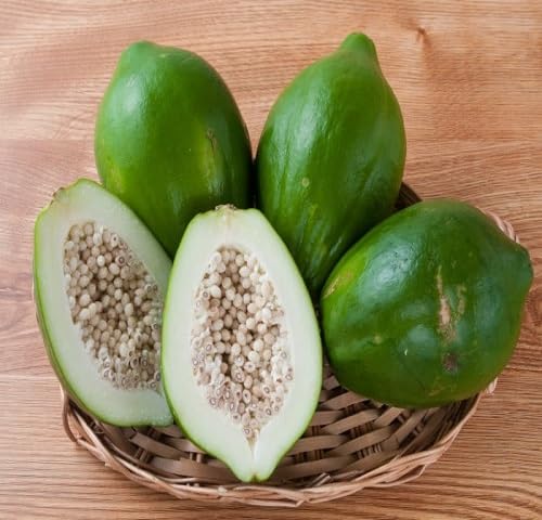 Papaya Seeds – Heirloom, Non-GMO, High Germination Organic Garden Seeds