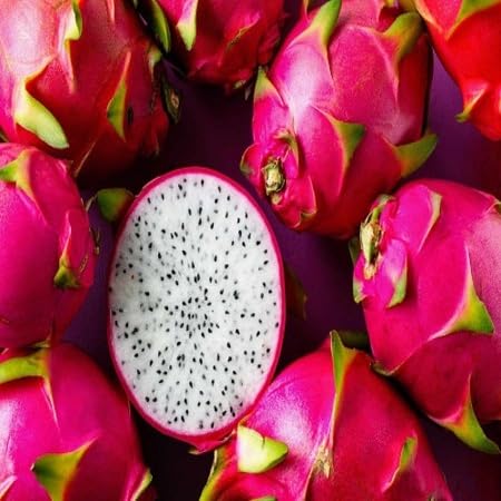 Dragon Seeds – Heirloom, Non-GMO, High Germination Organic Garden Seeds