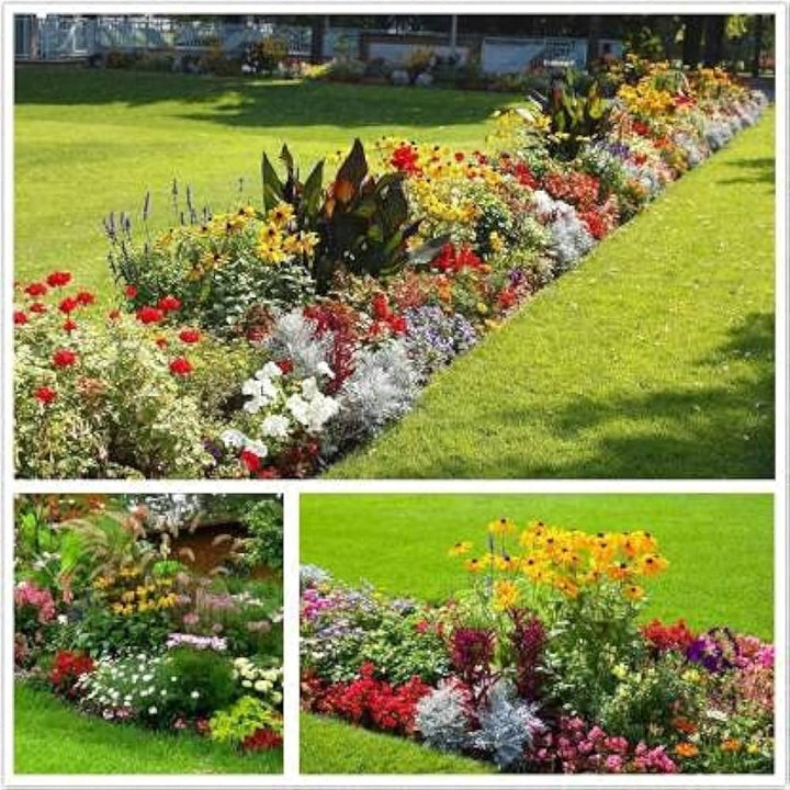Mixed Flower Seeds for Planting