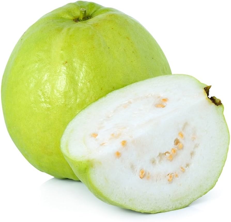 Semillas de Guayaba Blanca para Sembrar – Herencia No-Transgénica Alta Germinación Semillas Orgánicas para Jardín