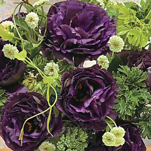 black pearl lisianthus dark