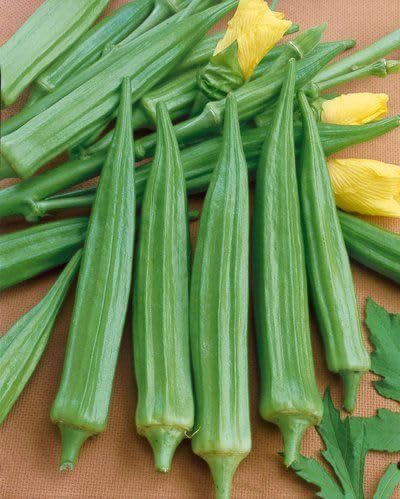 Semillas de Okra Verde – Variedad tradicional, sin transgénicos, alta germinación para jardín orgánico