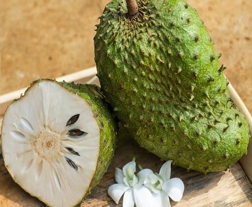 Green Graviola Seeds – Heirloom, Non-GMO, High Germination Organic Garden Seeds