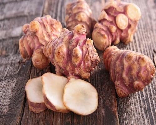 Brown Topinambur Seeds – Heirloom, Non-GMO, High Germination Organic Garden Seeds Planting