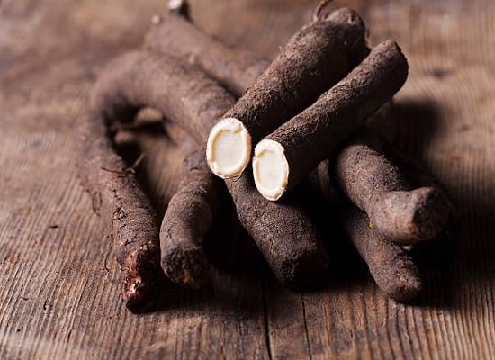Salsify Seeds – Heirloom, Non-GMO, High Germination Organic Garden Seeds Planting