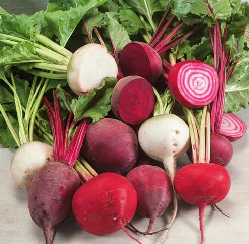 Mixed Beetroot Seeds – Heirloom, Non-GMO, High Germination Organic Garden Seeds Planting