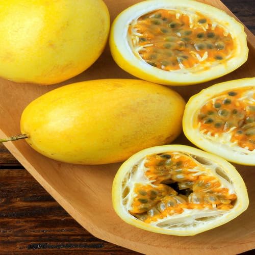 Yellow Passion Seeds Heirloom Non-GMO High Germination Organic Garden Seeds for Planting
